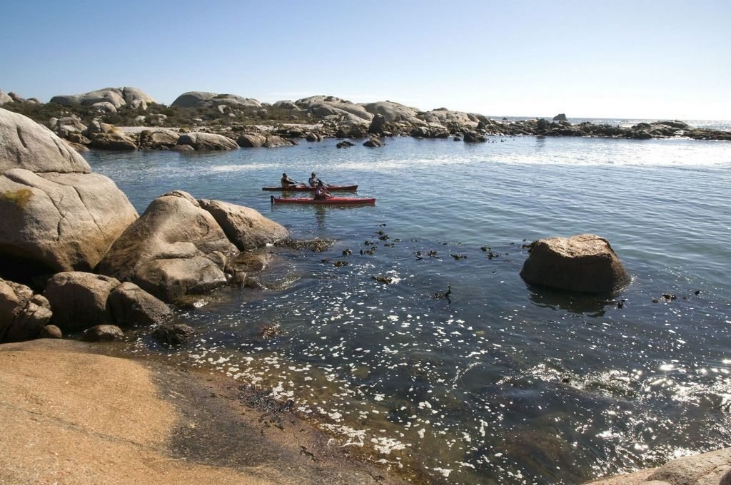 a white plate topped with a salad covered in shrimp