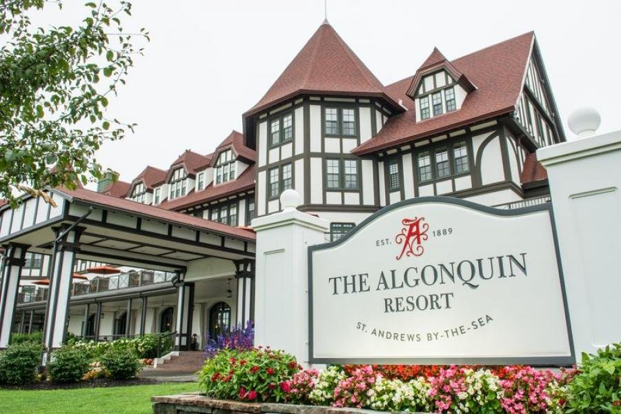 whale jumping above water